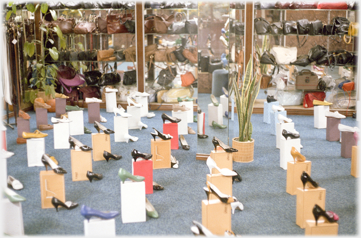 Shoes arranged in shop window.