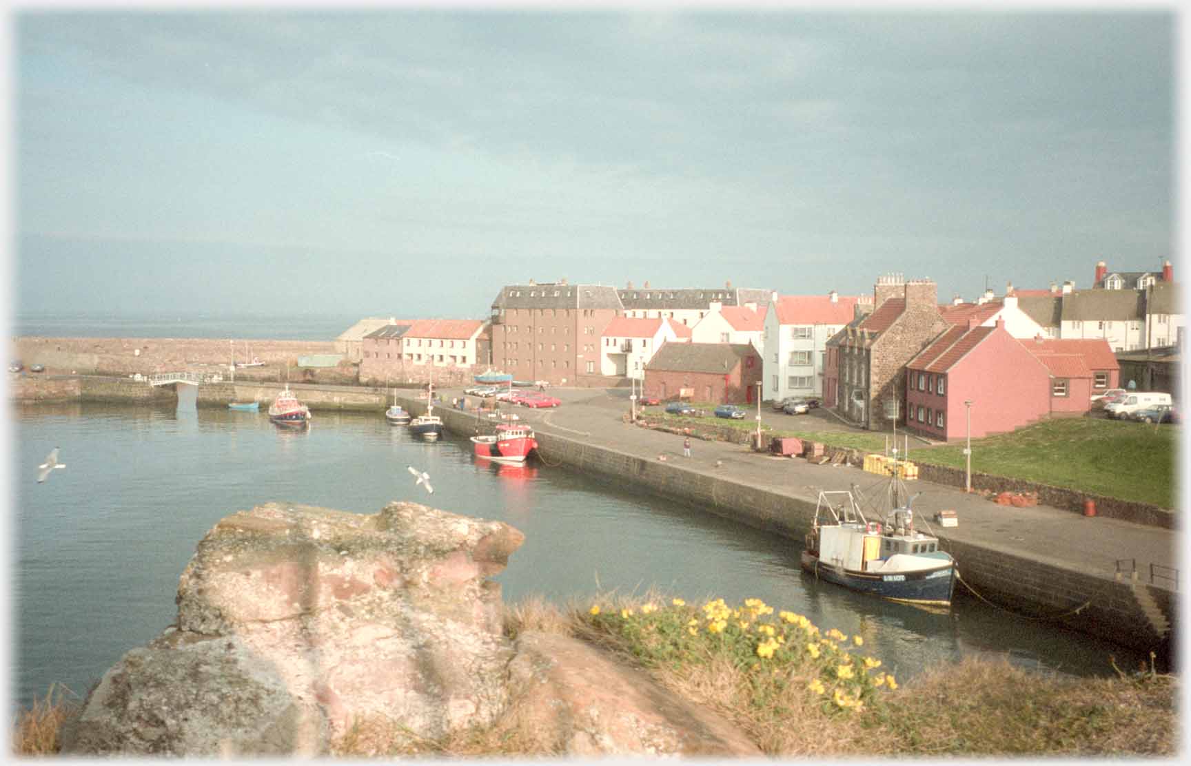 Harbour with houses along quay and  small boats moured.