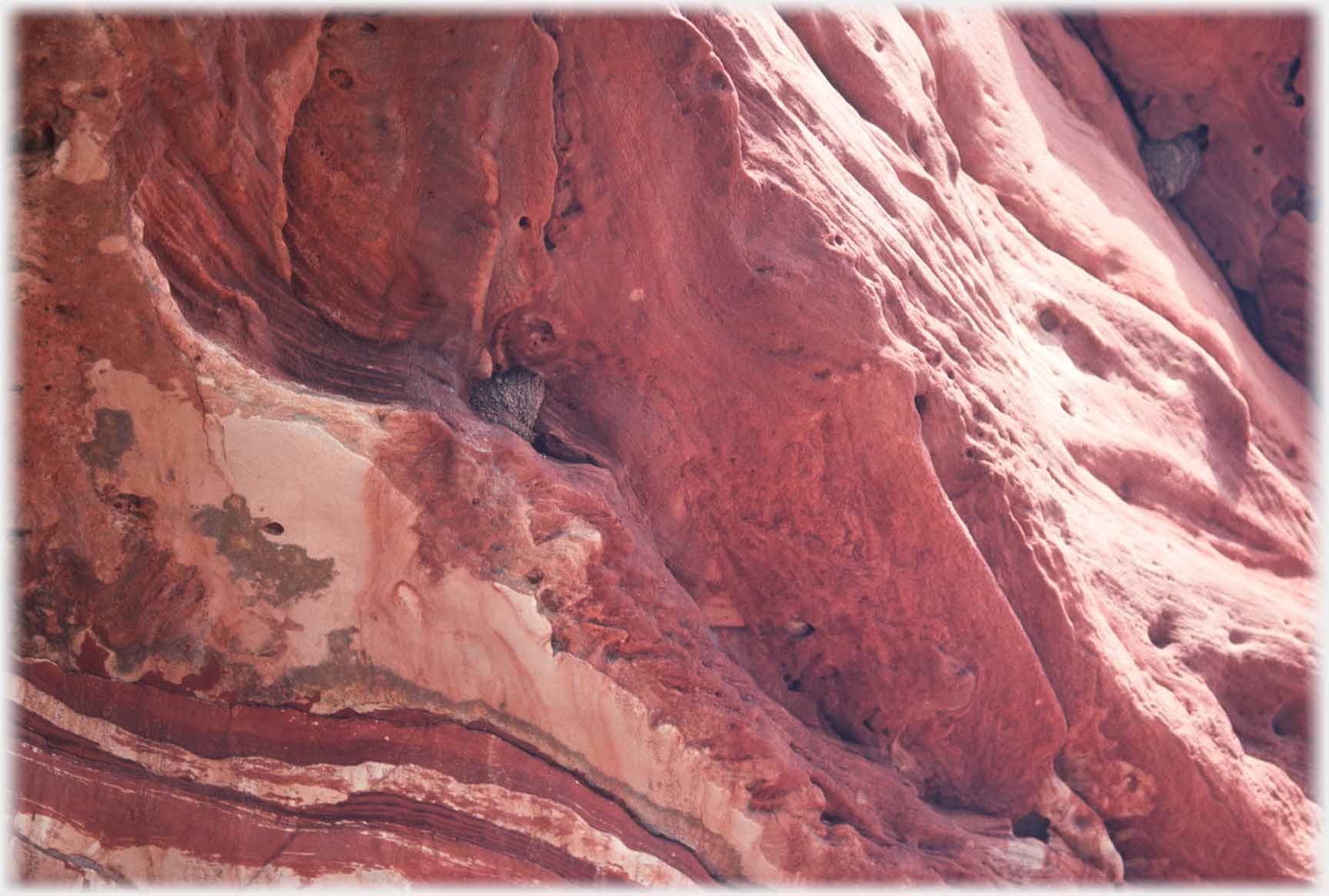 Looking up under pink worn sandstone, nest clinging.