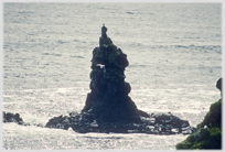 Vertiginous black stack with gull on top.