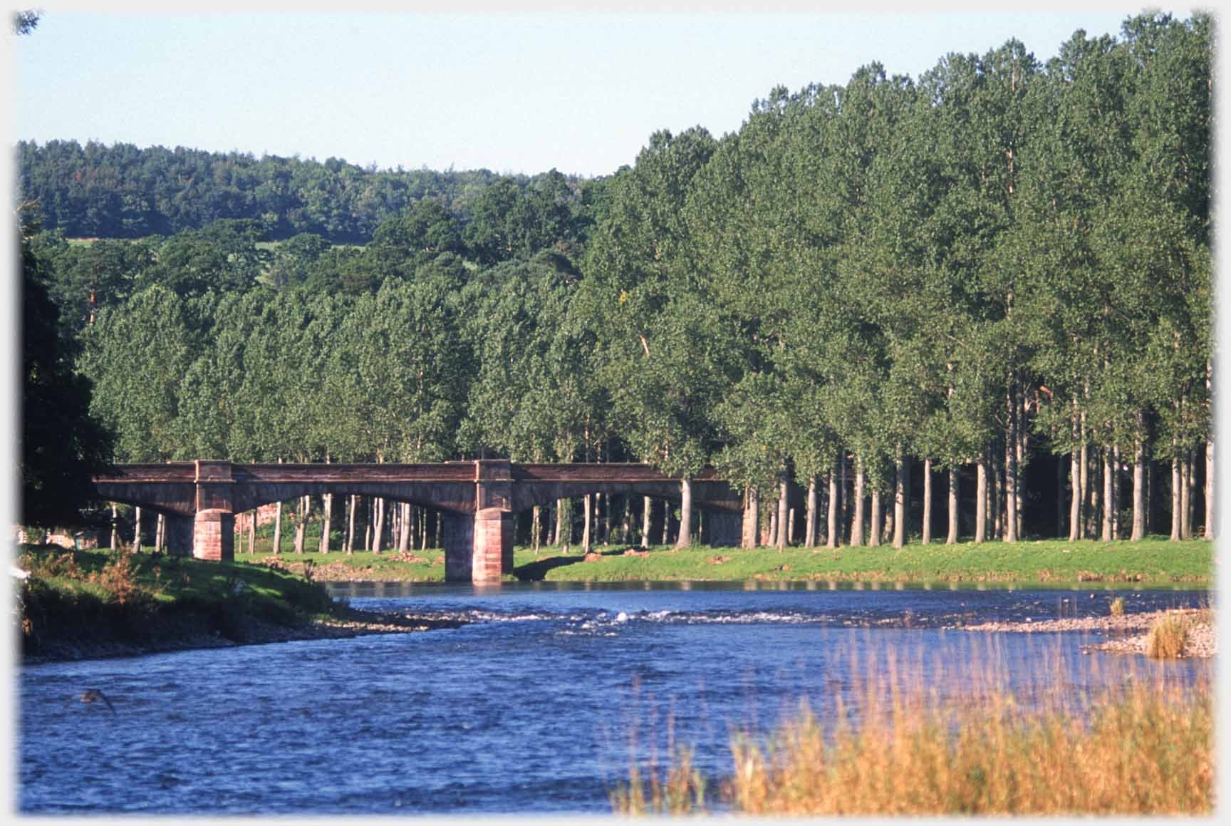 Bridge leading to trees on far bank.