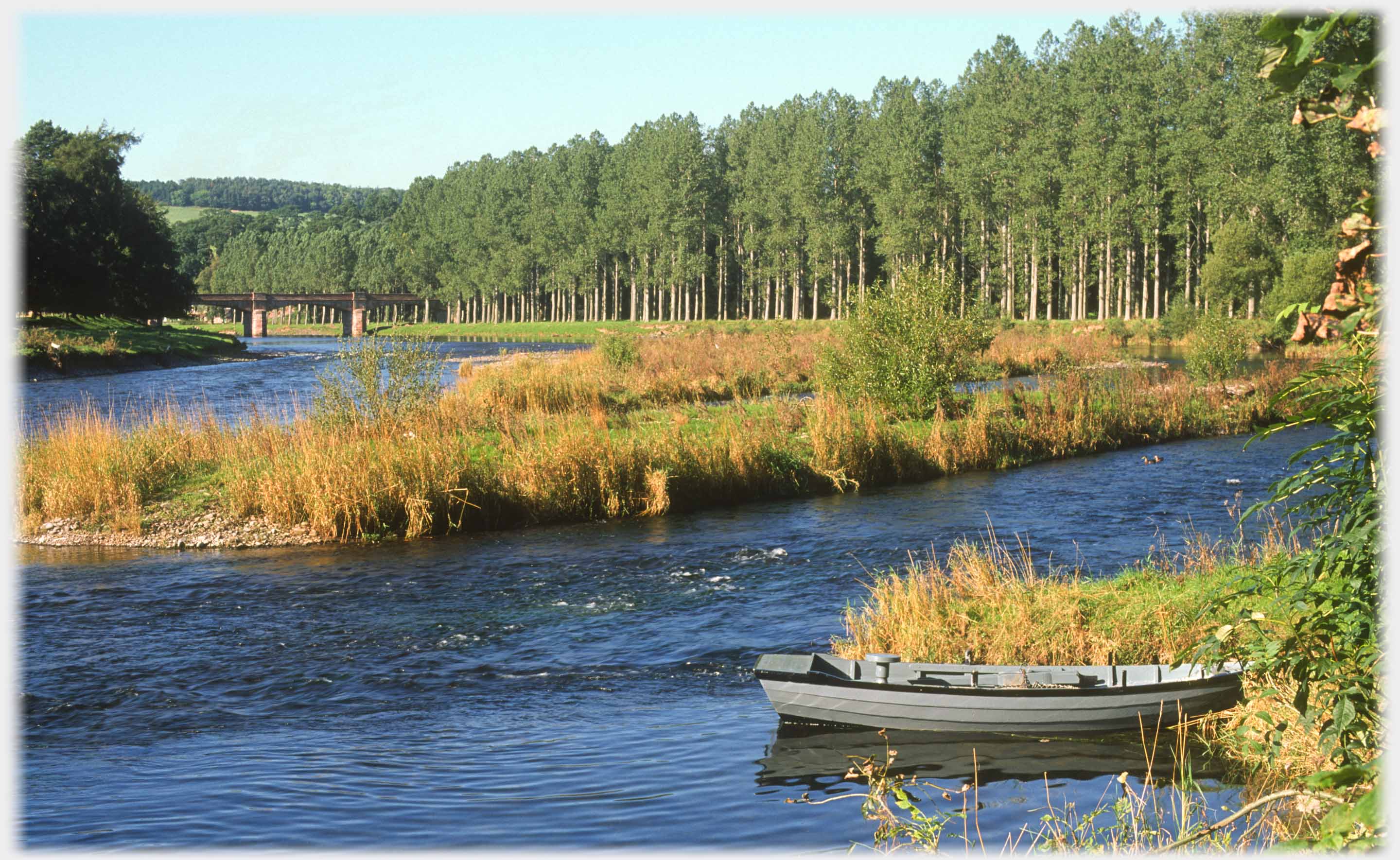 Boat and island in foreground, trees lining bank to bridge.