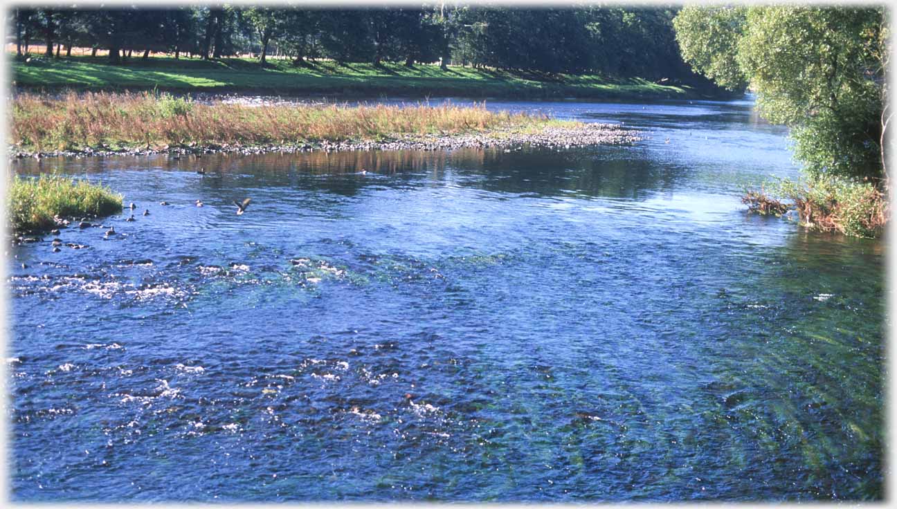 River with eddies, ripples and water weed.