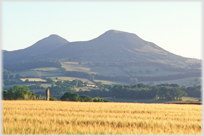 Twin peaked hill beyond corn field and standing stone.