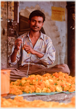 Man sitting behind flowers making garland.