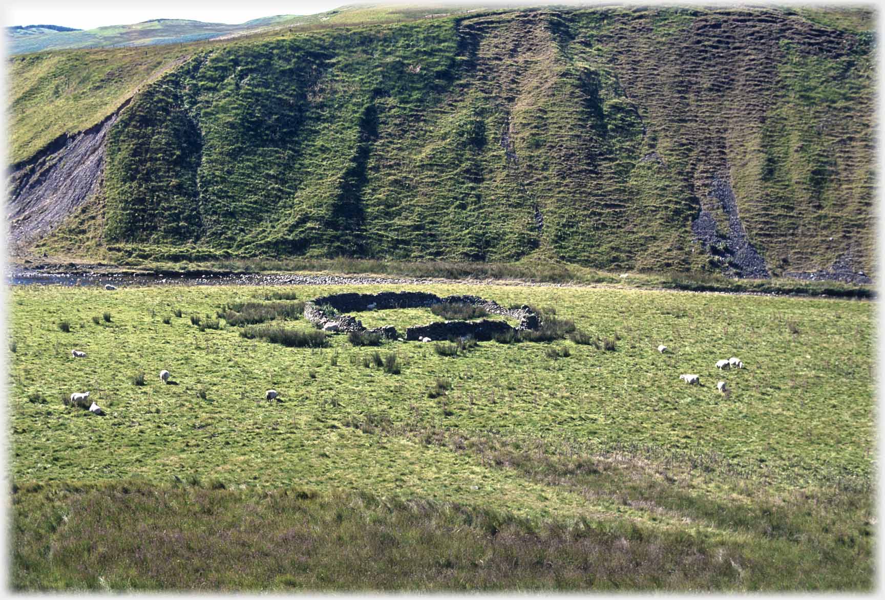 Broken circular sheep fold below hillside.