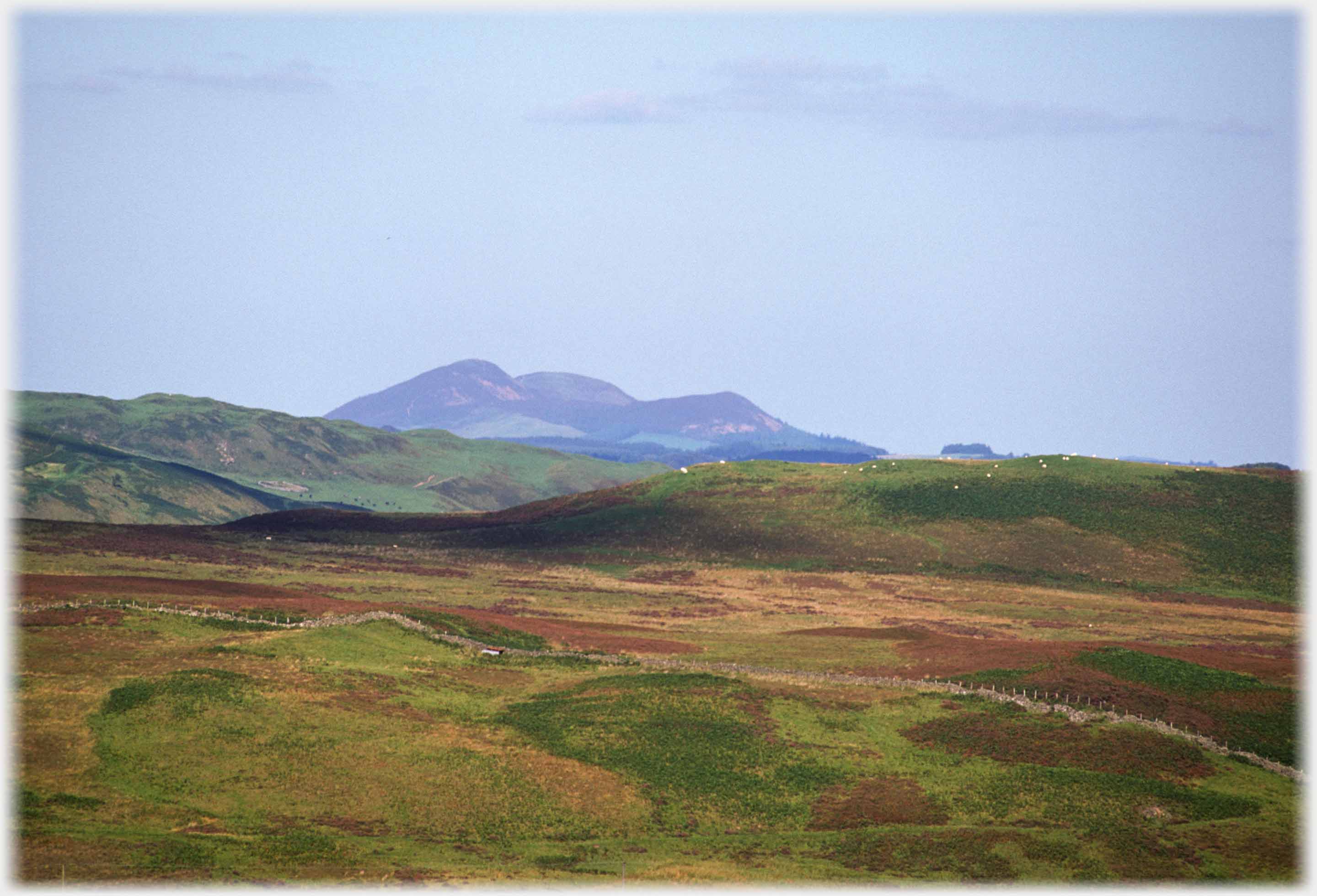 Rolling moorland with gruop for hills rising beyond.