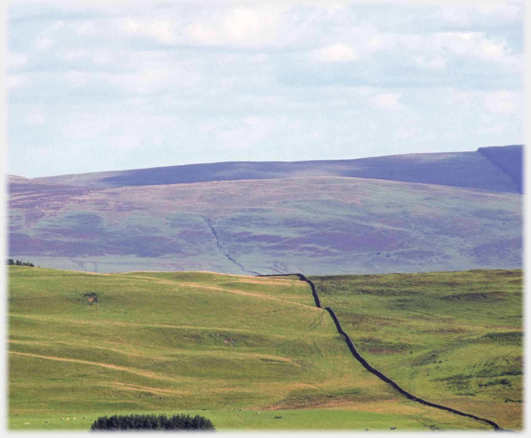 Hillsides with dyke running away up it.