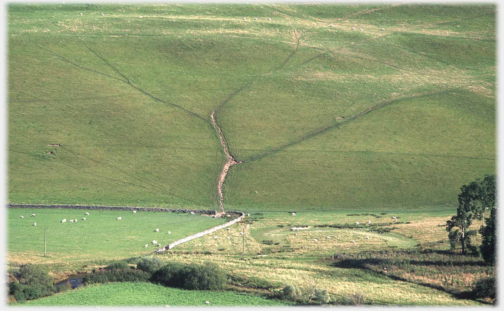 Hillside with converging paths.