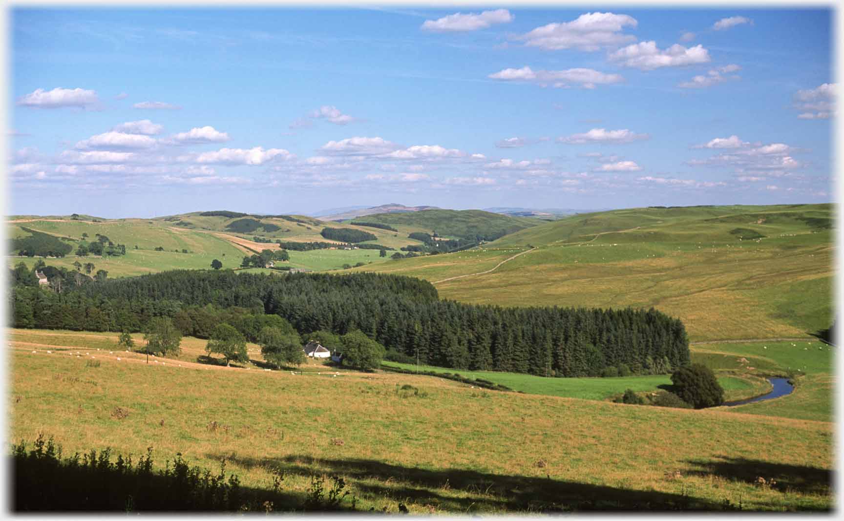 Open valley with trees and fields