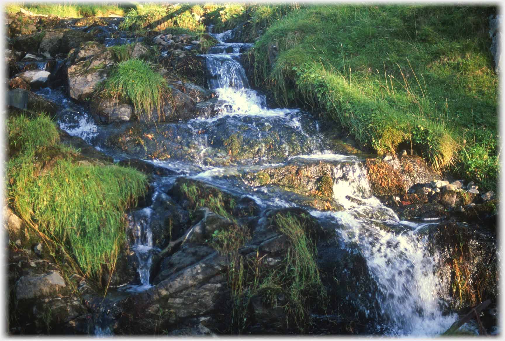 Small stream cascading down rocks.