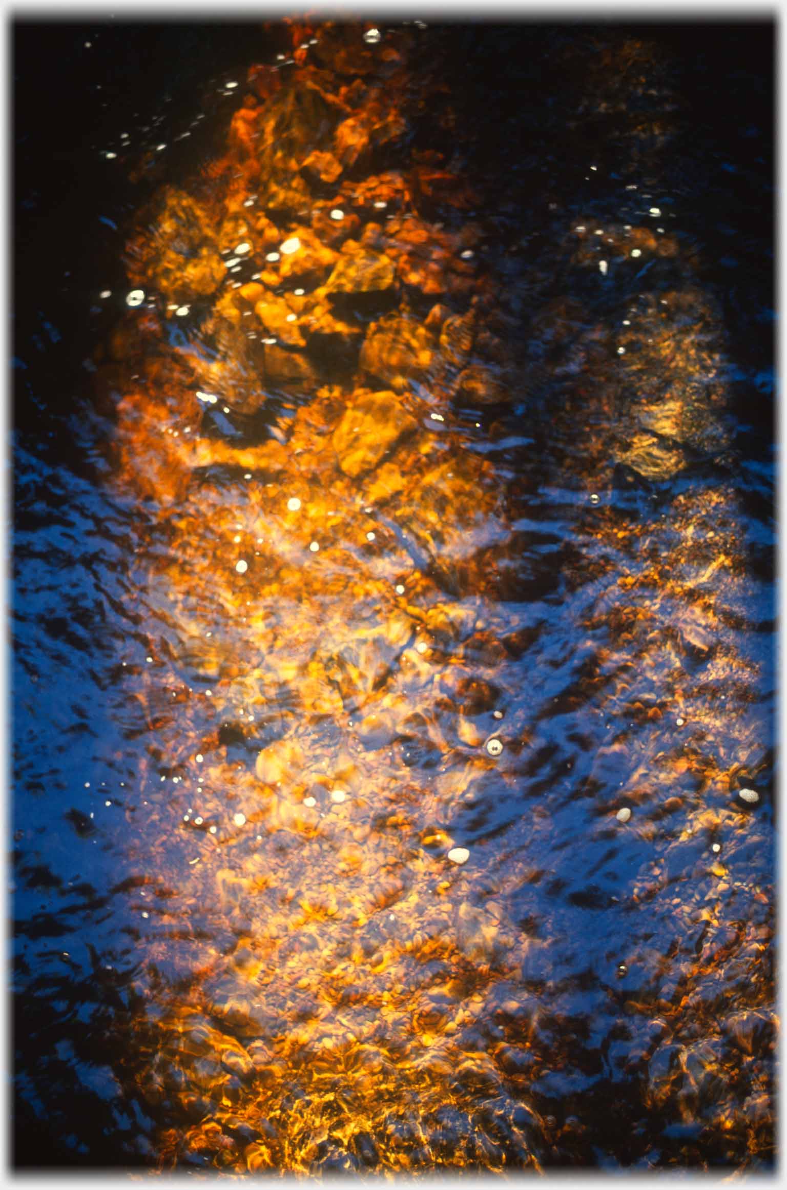 Looking down into dark brown water between strong shadows.