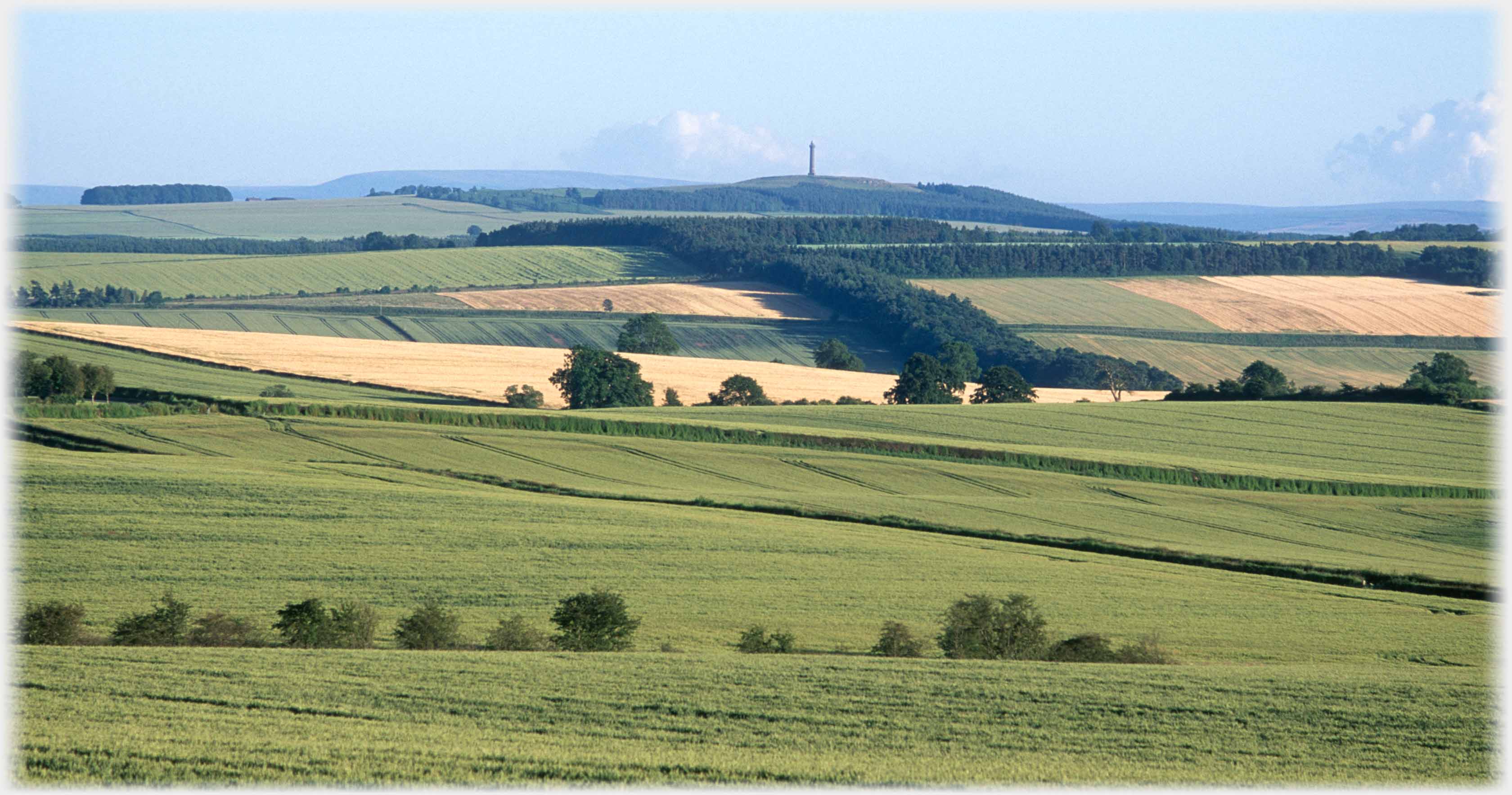 Wide open country with fields and woods, monument at highest point.