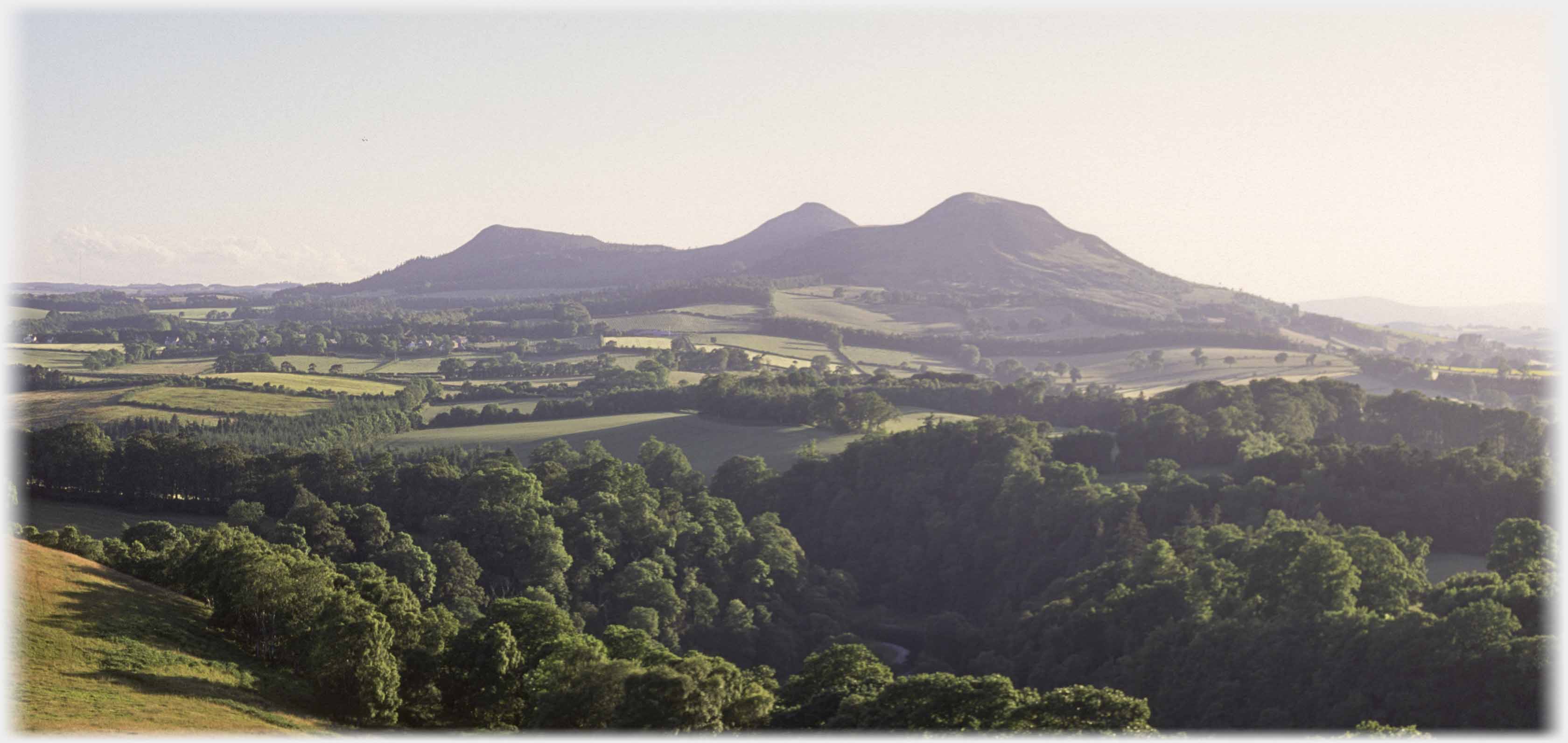 Triple peaked hill with woods in foreground.