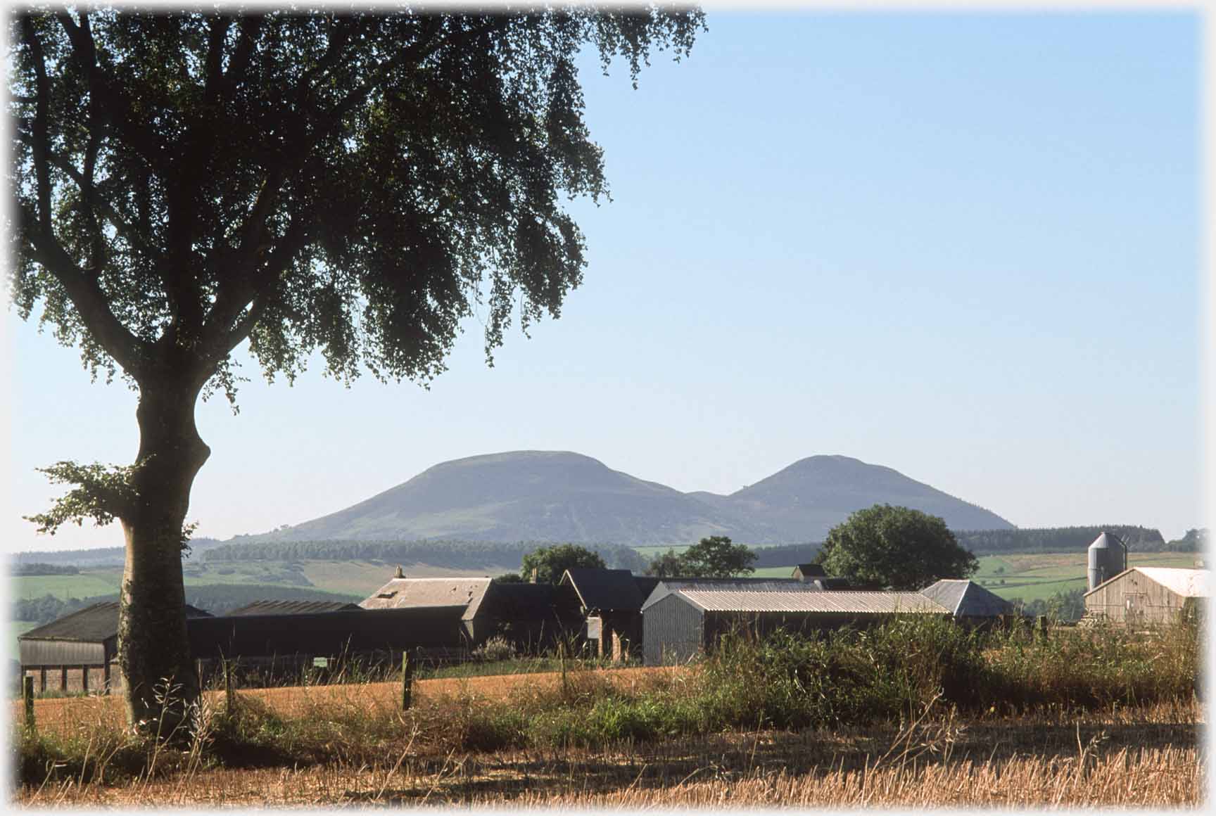 Tree and barns framing twin peaks.