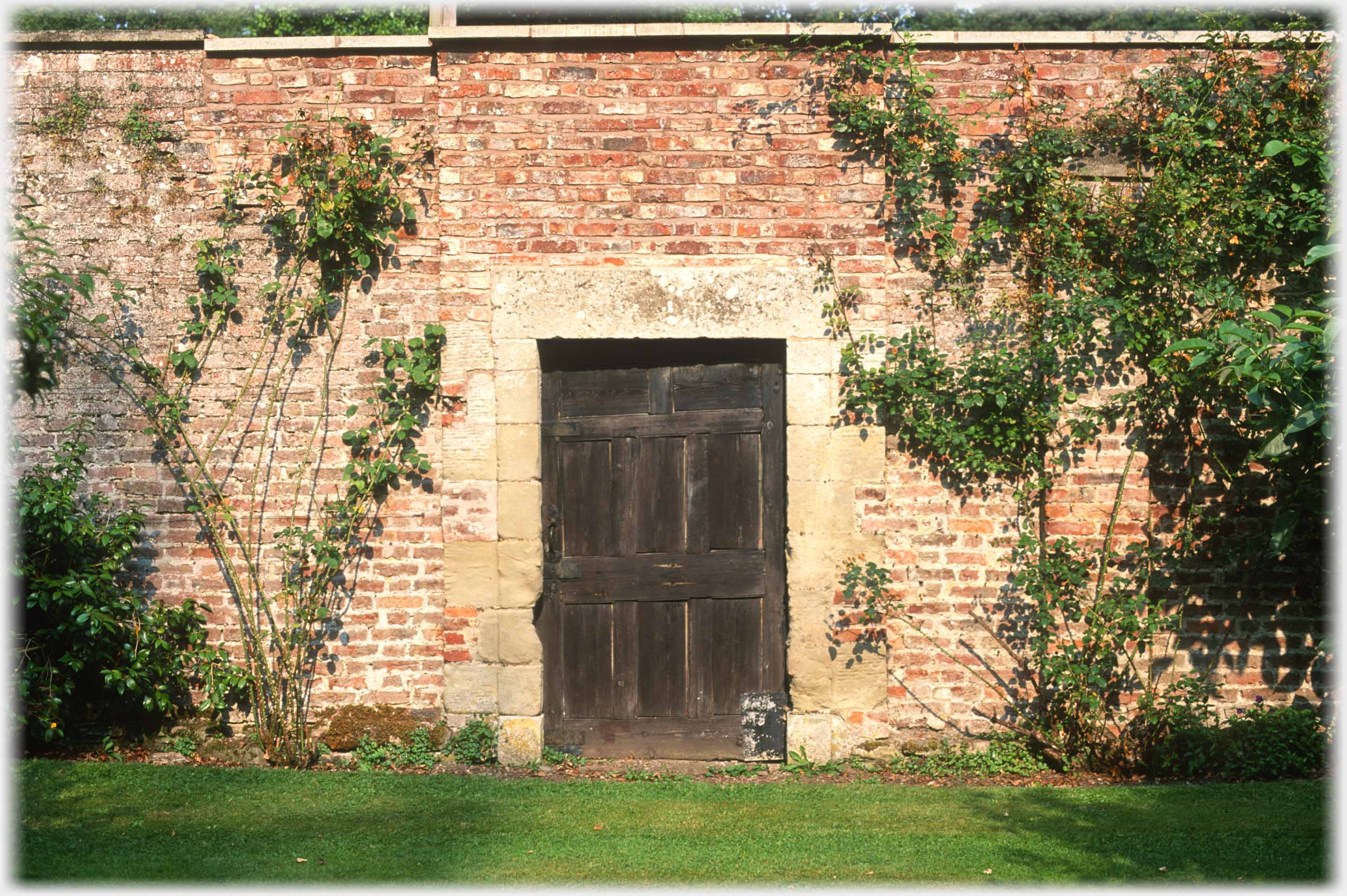 Brick wall with old door.