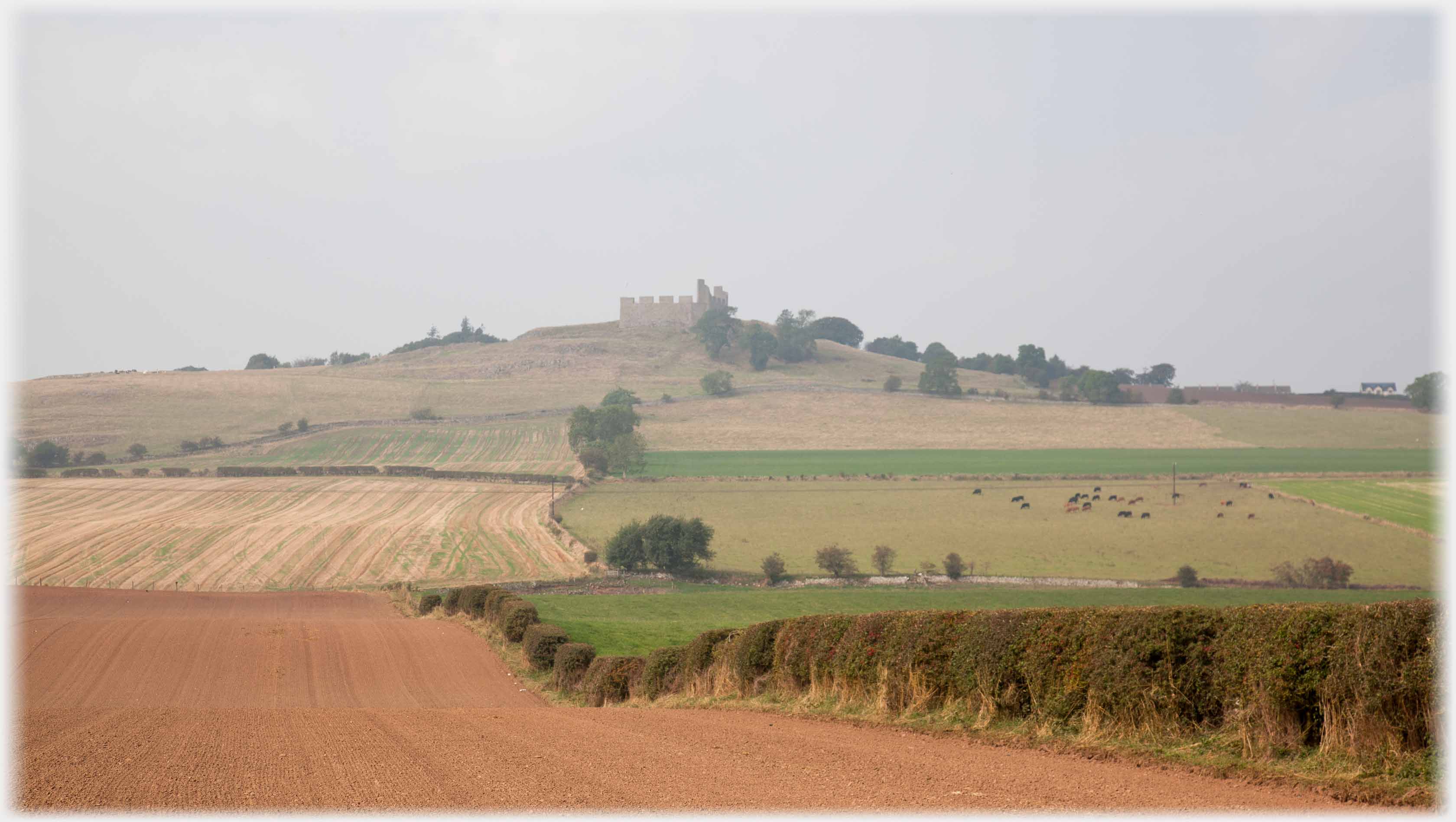 Fields running up to ruin on knoll.