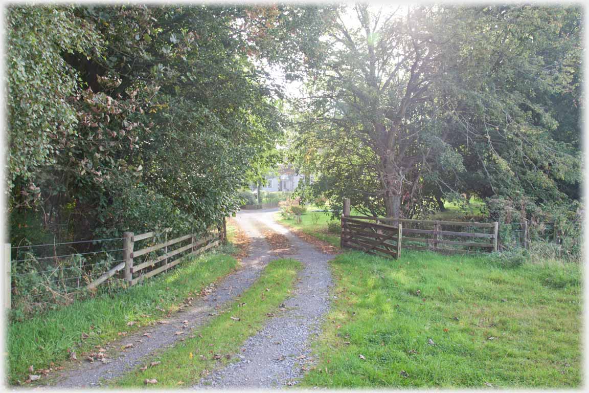 Track through gates leading towards obscured house.