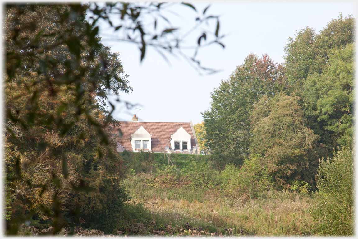 Small section of roof between trees.