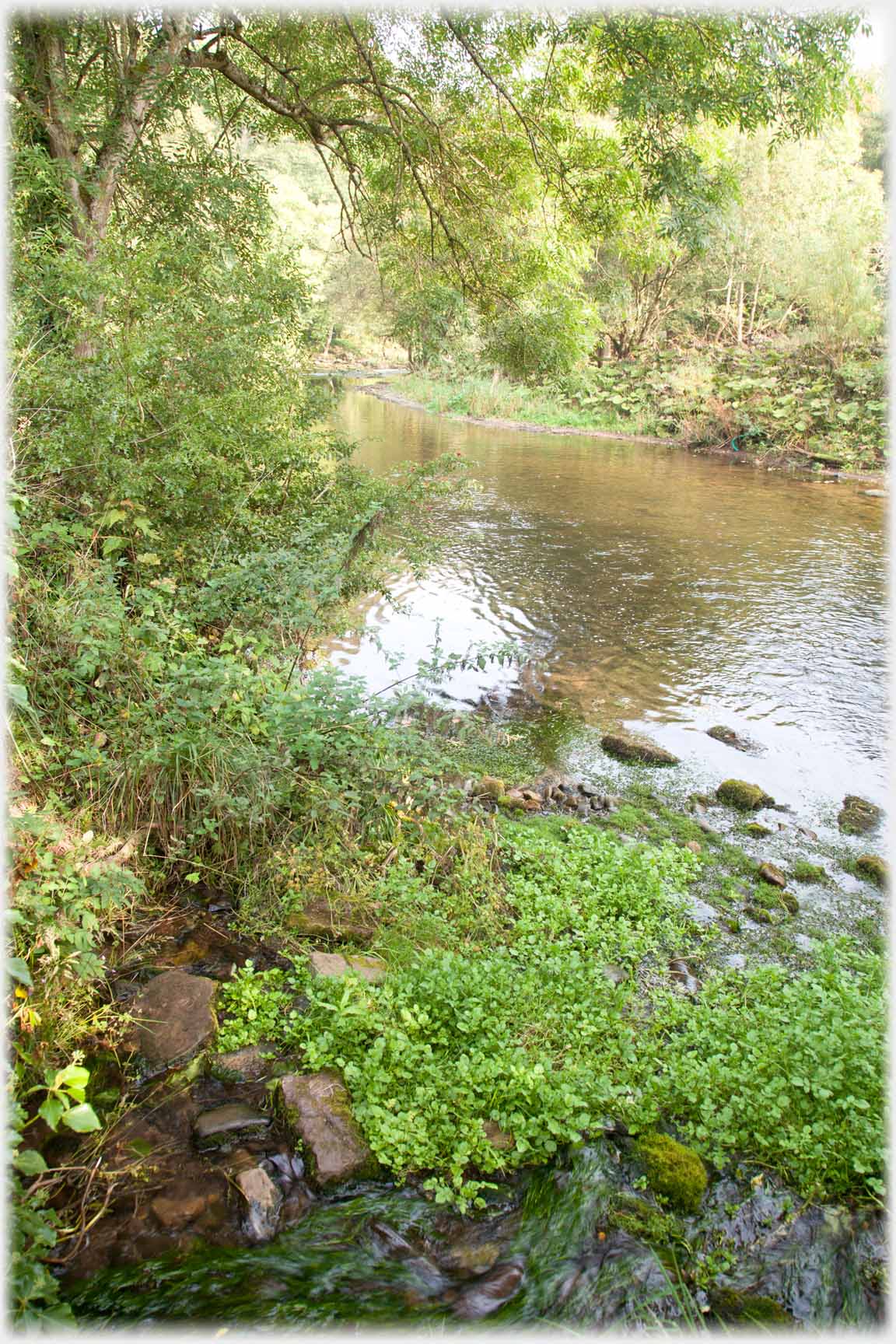 River winding away between trees.