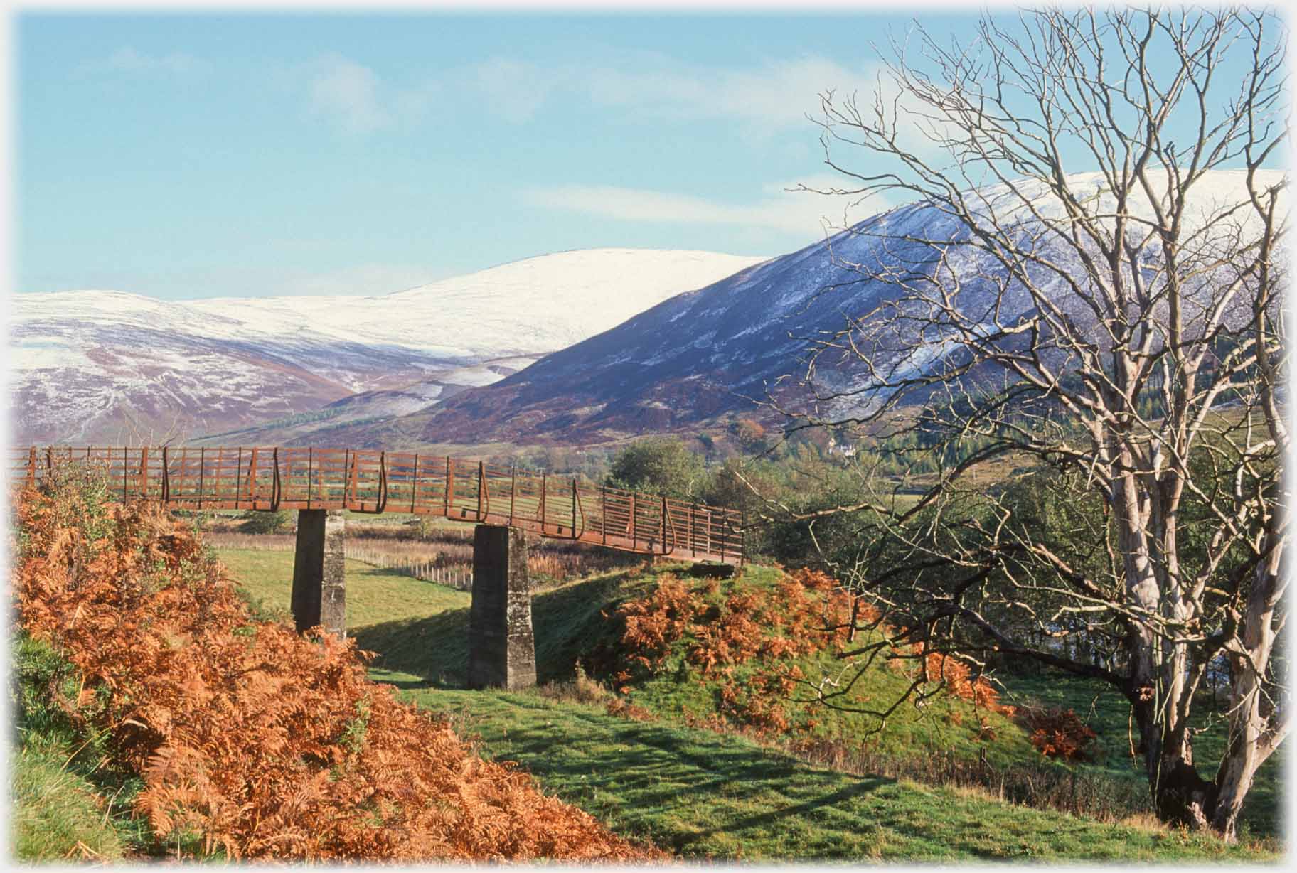 Two piers supporting old metal bridge over level track, distant snow covered mountain.