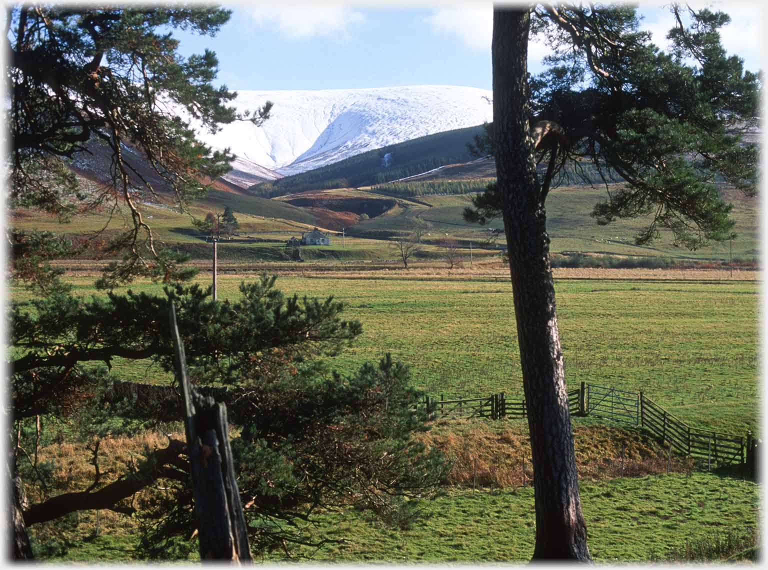 Snowless valley seen between two trees with snow covered hill beyond.