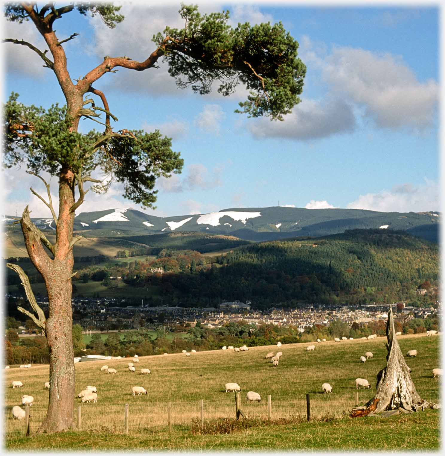 Same view as last photo, but right-hand tree is stump and some snow on hills