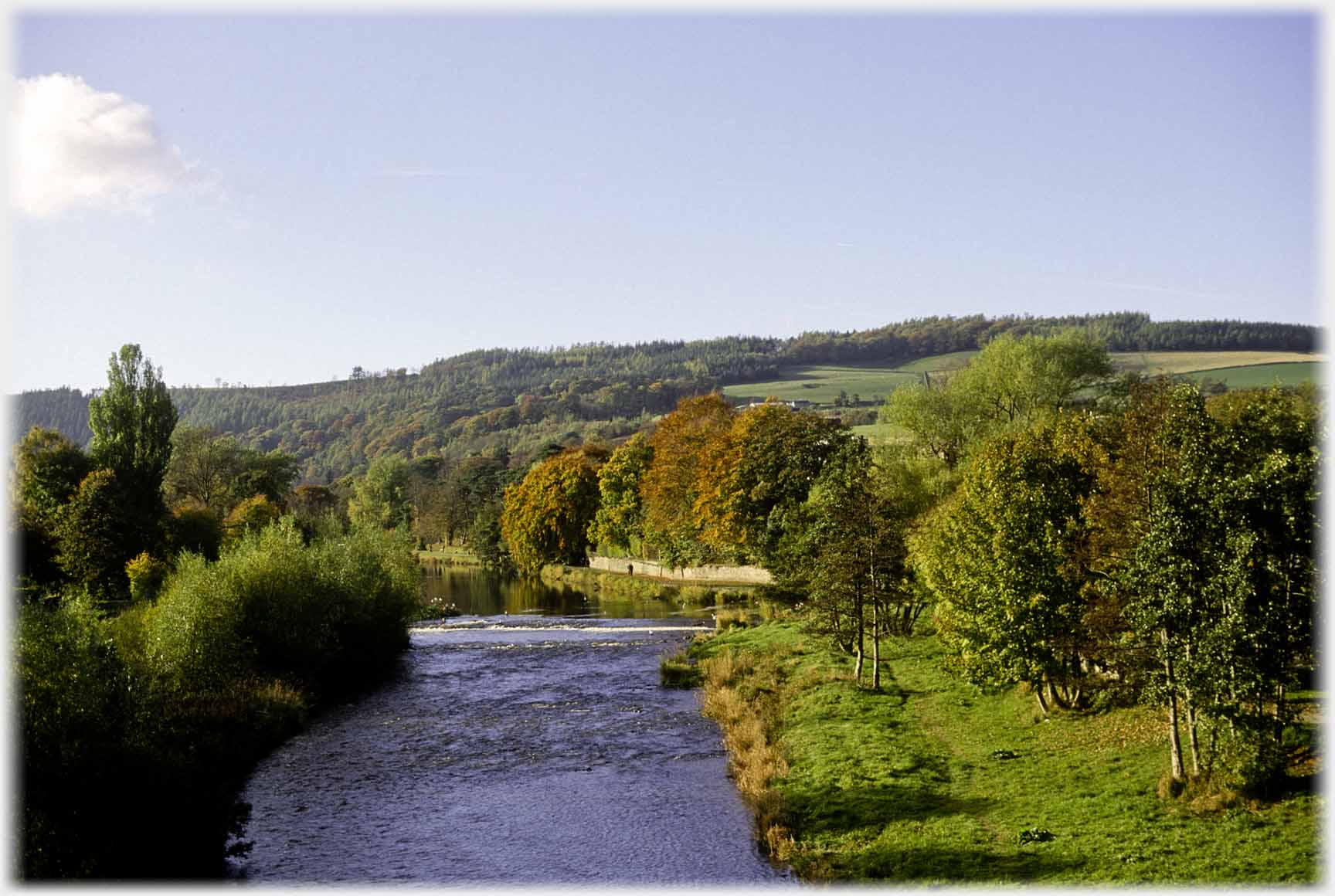 View of trees along river.