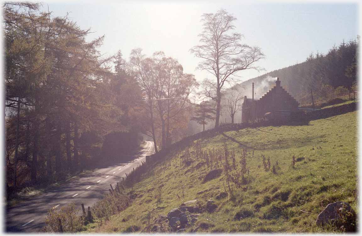 Back lit house and trees by road with smoke from chimney.