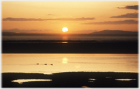 Sunset across water with three ducks.