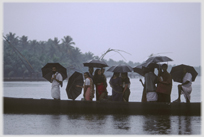 Row of people with umbrellas in boat.