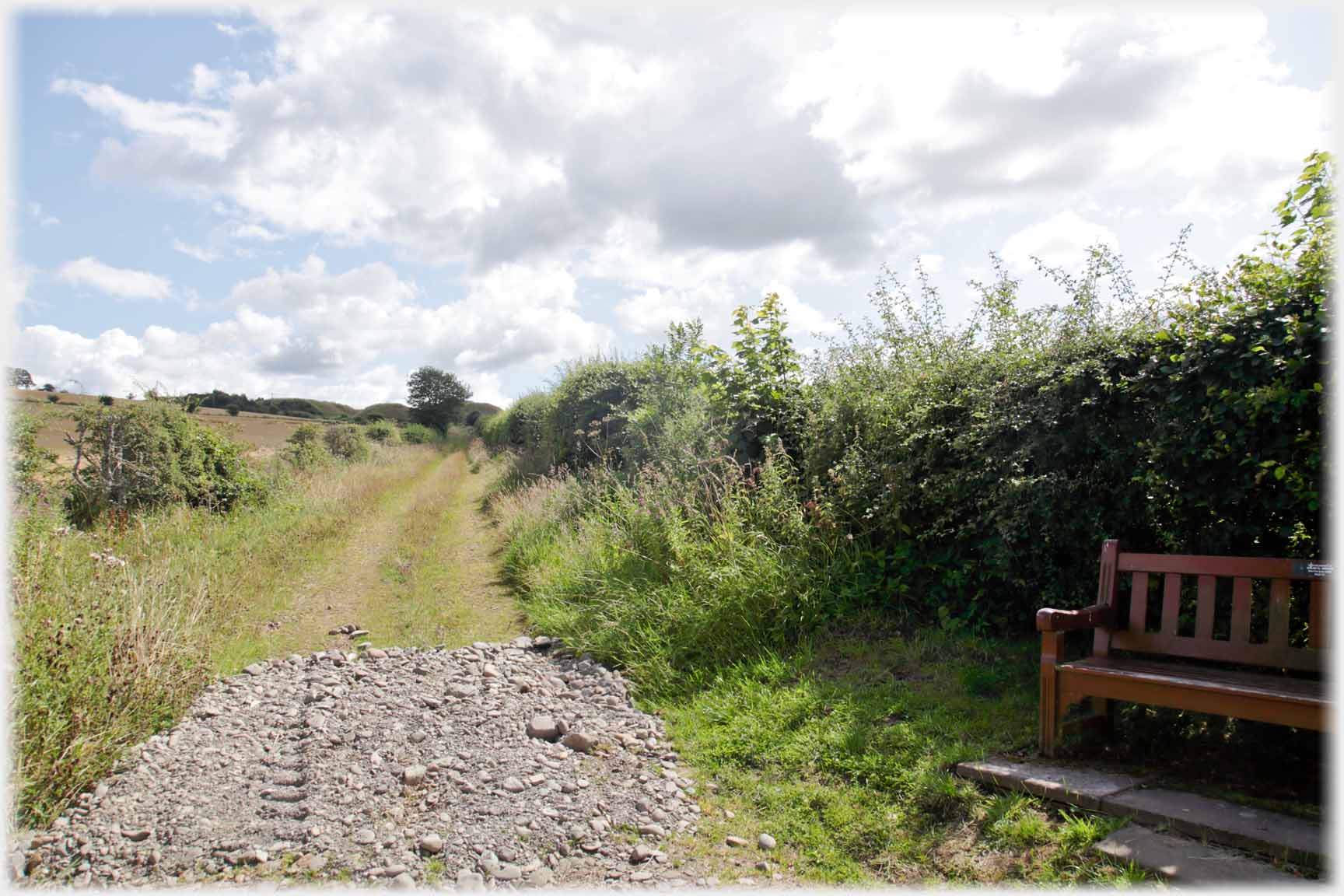 Path leading away with seat at right.