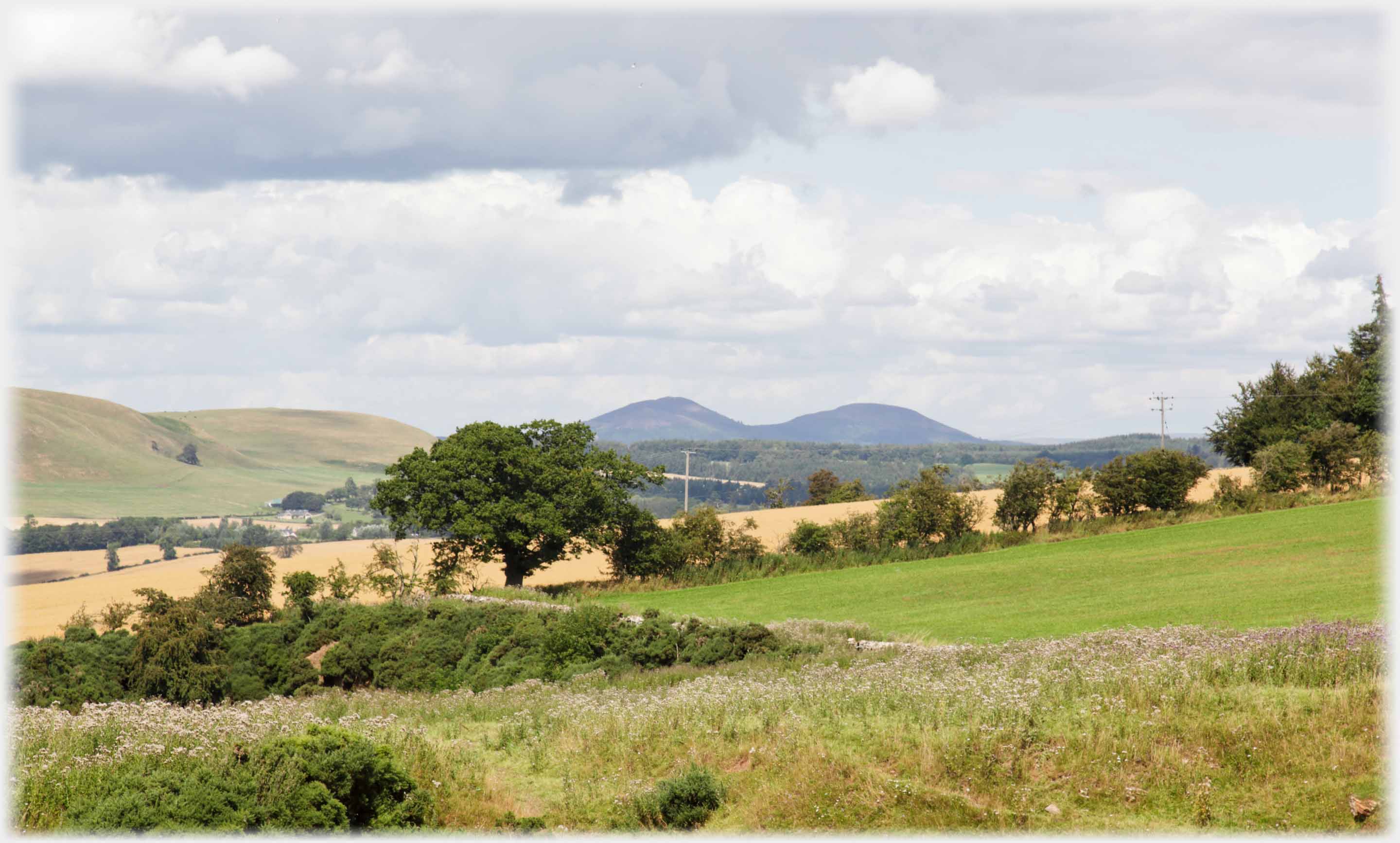 Pair of hills beyond fields, hill at left.