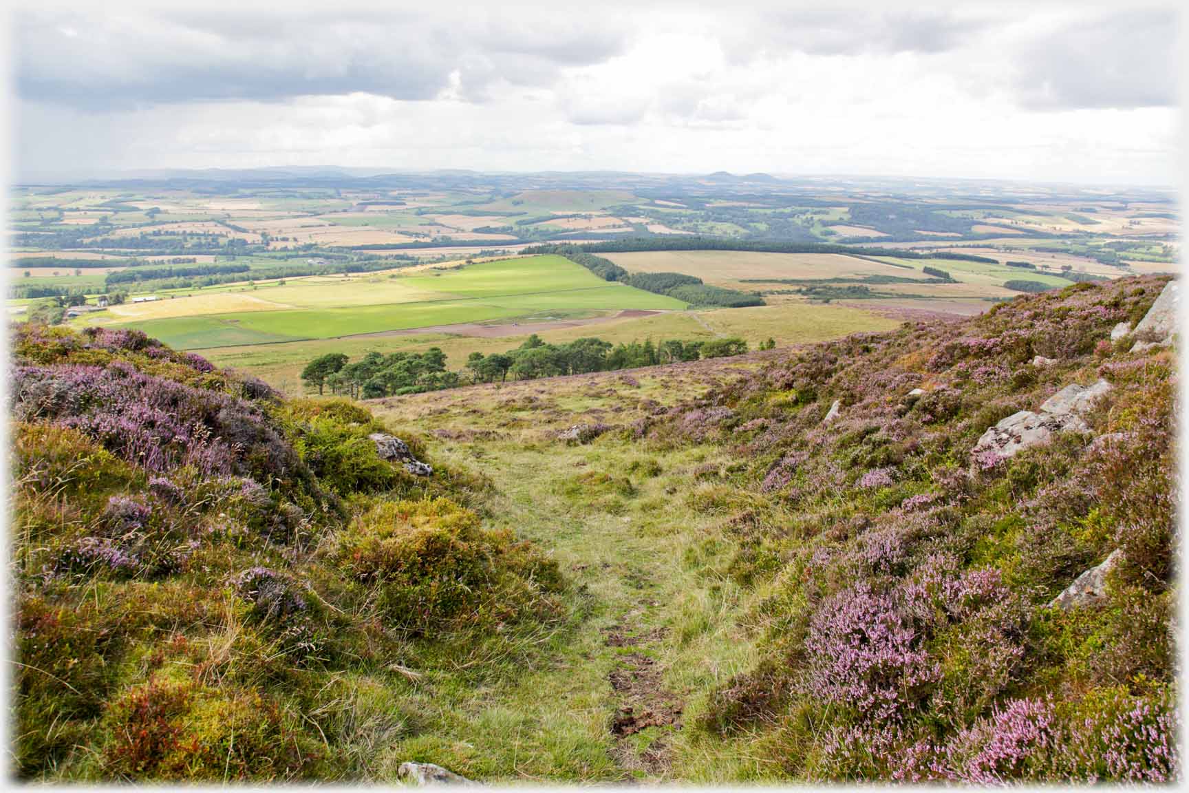 Path with heather banks opening out to distant landscape.