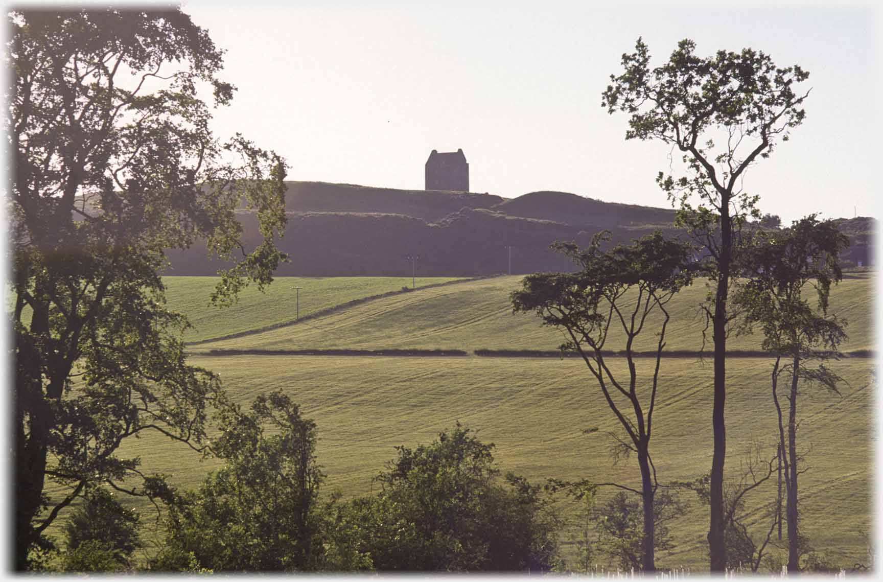 Silhouette of tower house framed by trees.