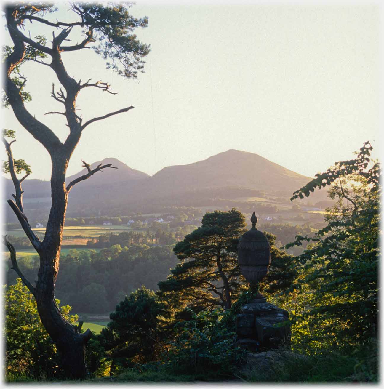 Eildon hills with pine and urn lit by setting sun.