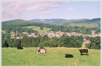 Field with cows, small town and hills beyond.