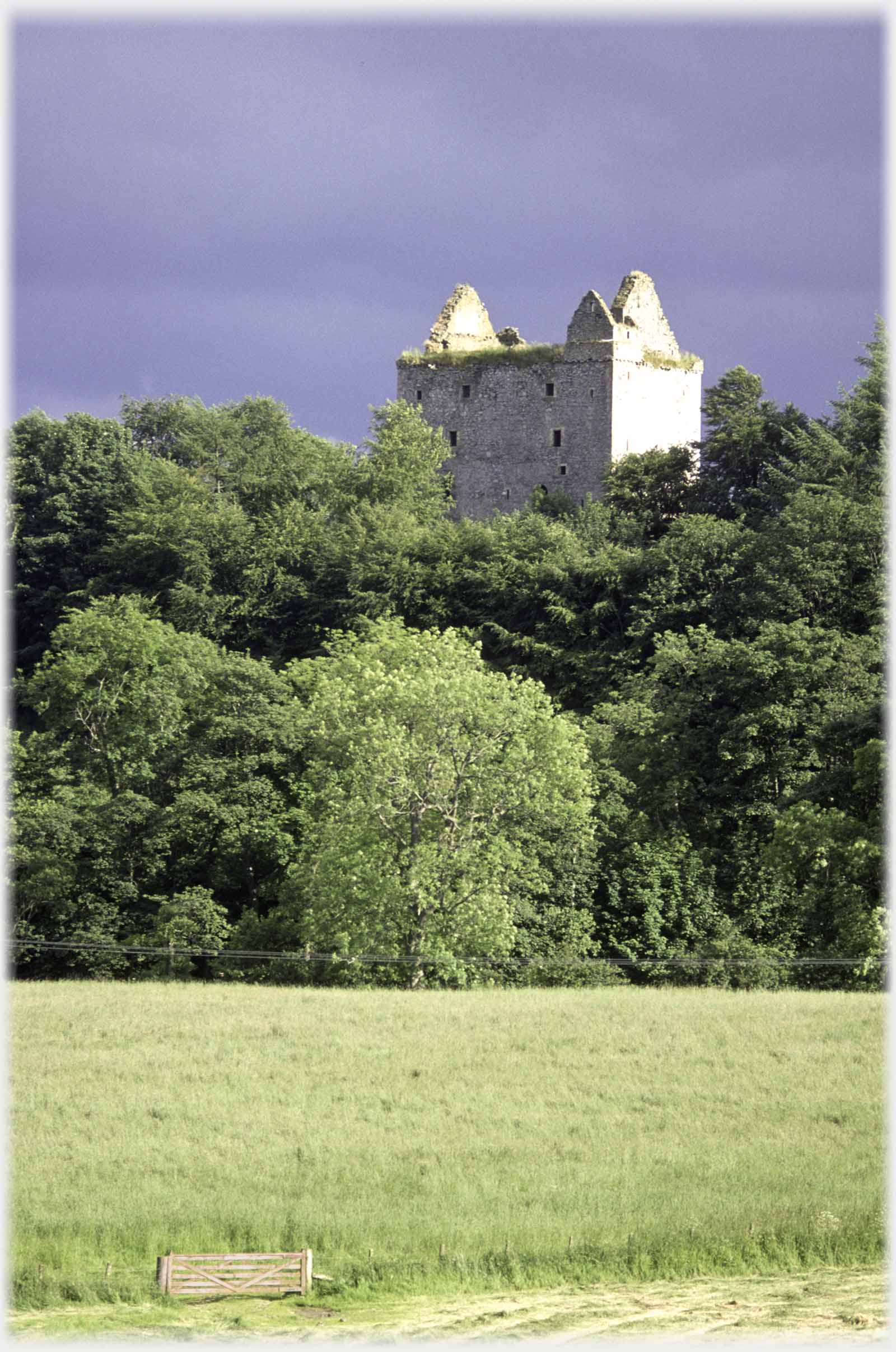 Roofless rectangular tower appearing above trees.