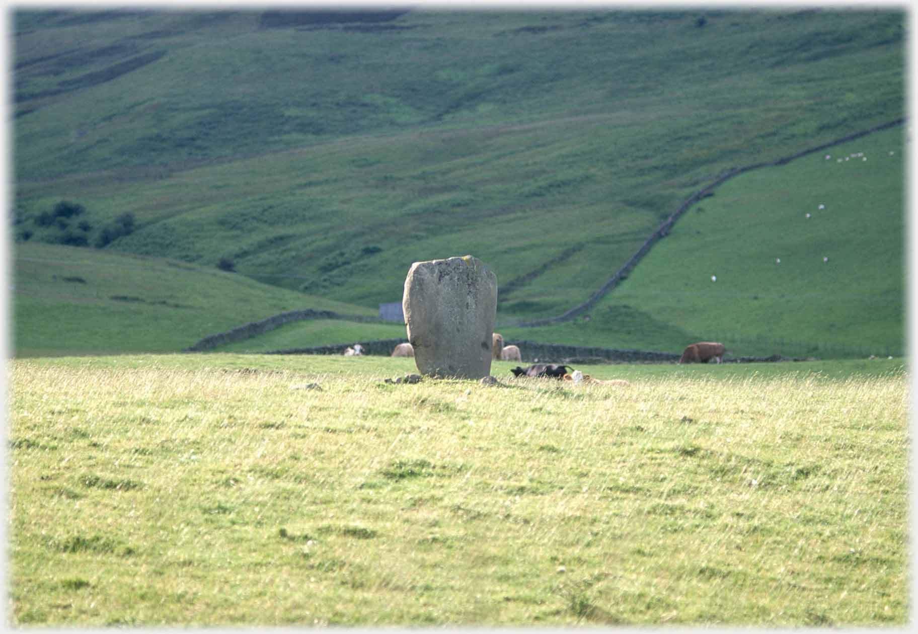 Single standing stone in green field.