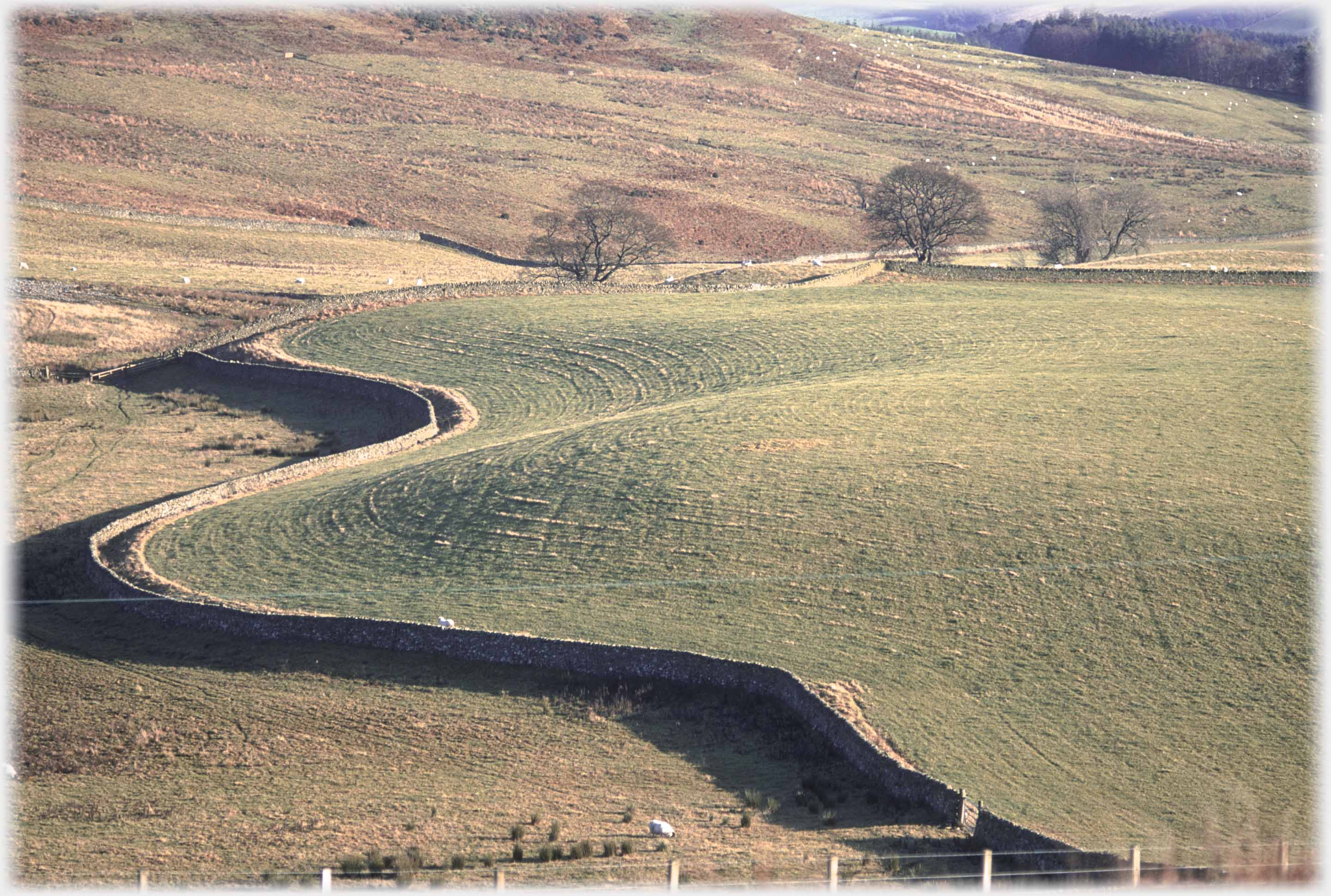 Section of dyke curving round knolls.