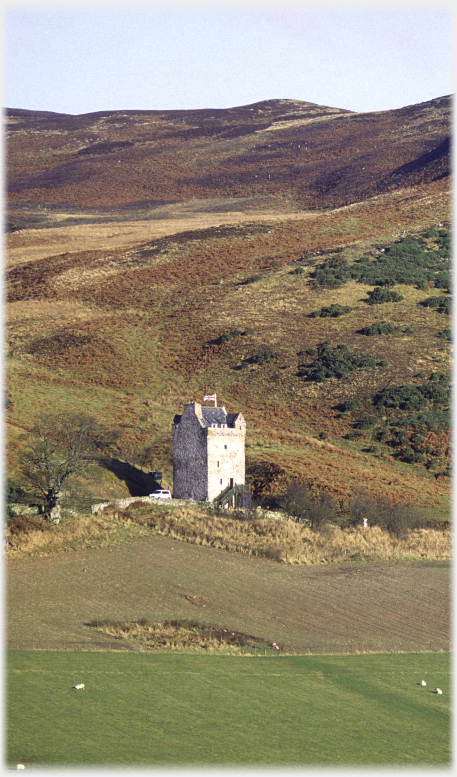 Tower house against heathered hill, flag flying