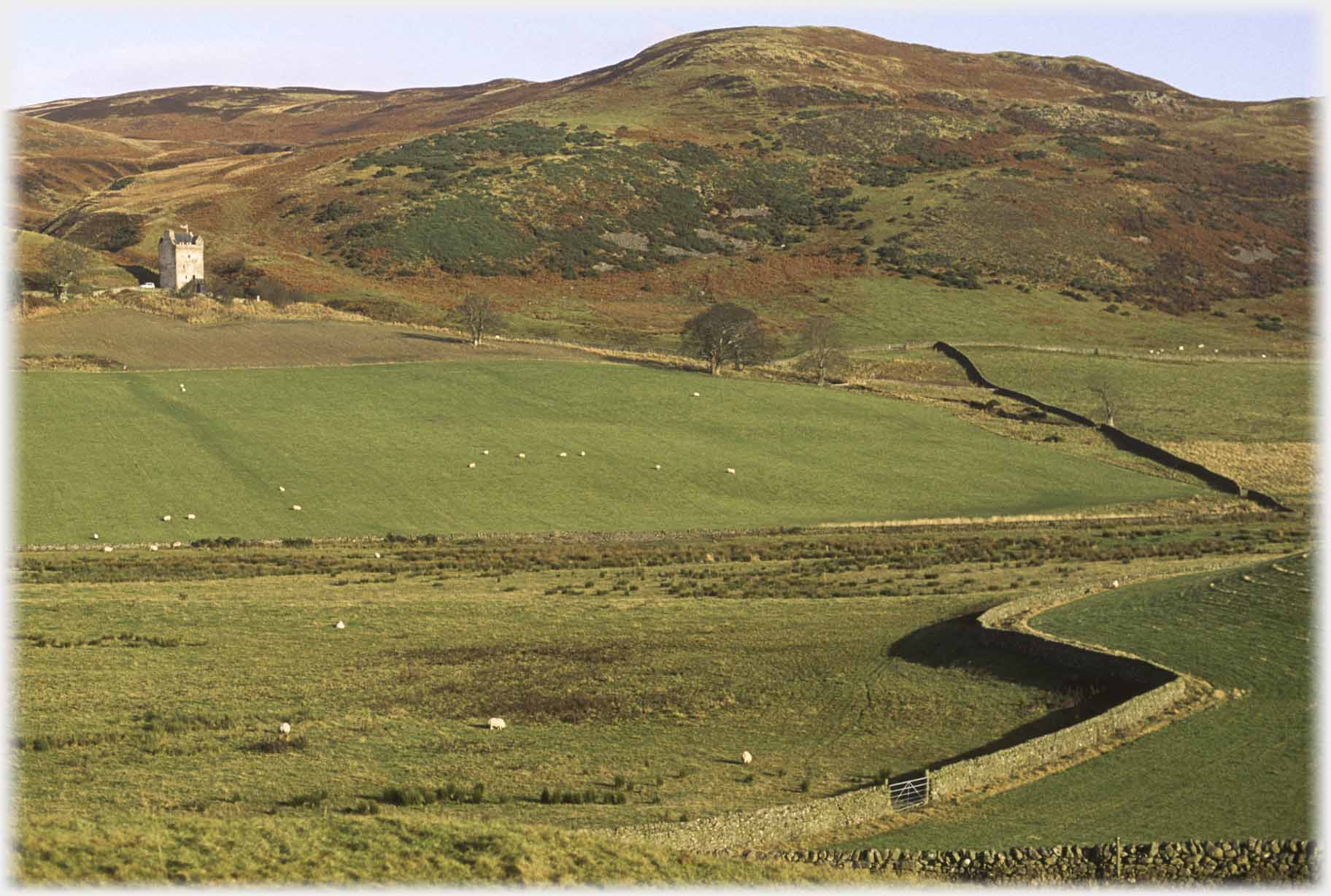 Tower house against hills, curving dyke in foreground.