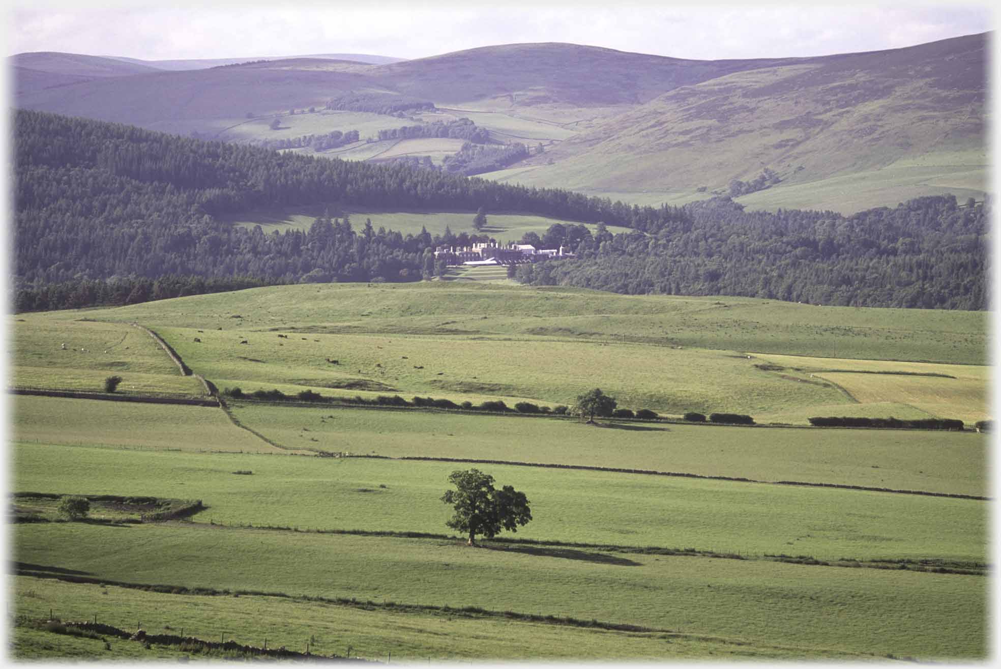 Wooded lower slopes of hills with large house between them, fields in foreground.