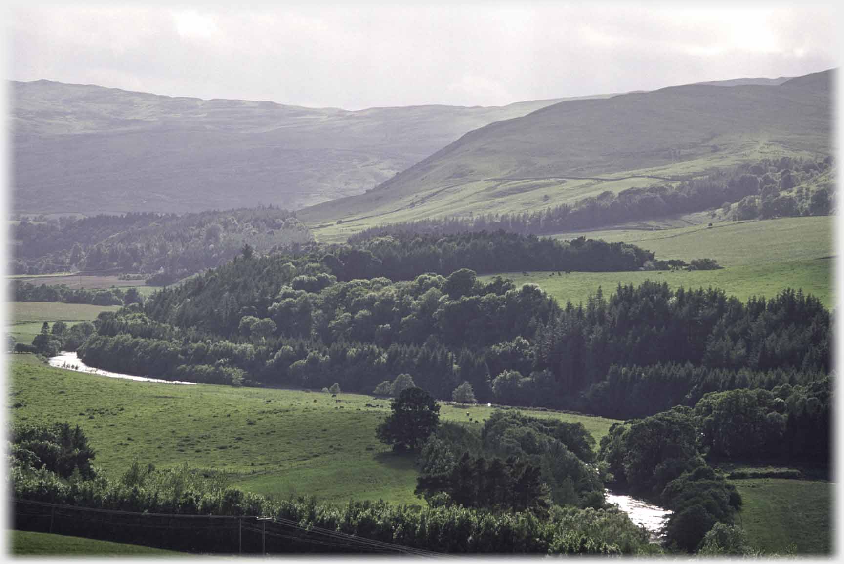 Heavily treed valley with river winding through it.