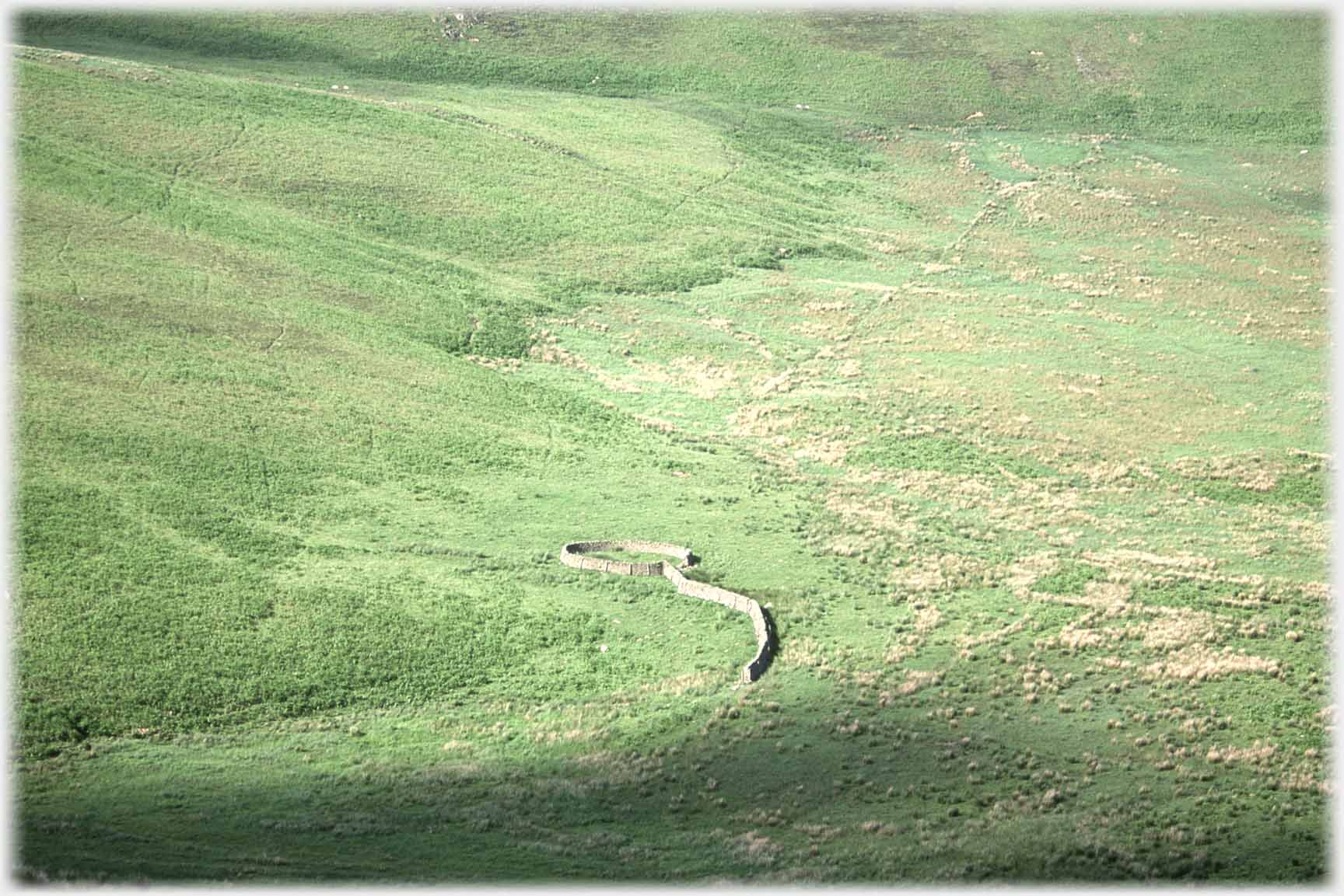 Same circular sheepfold againsst green fields.