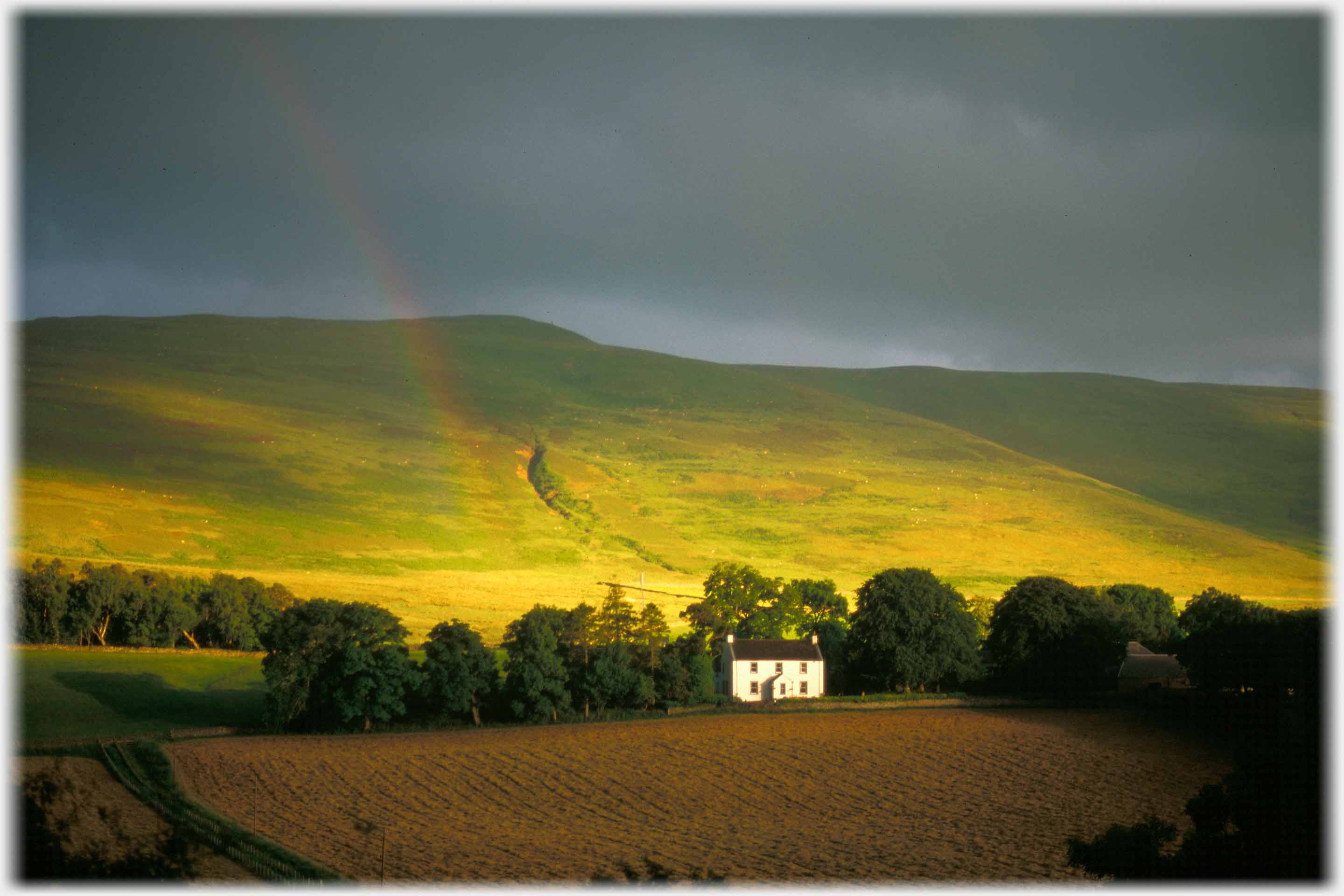 White farmhouse wth bright yellow fields on hill behind, black clouds and rainbow.