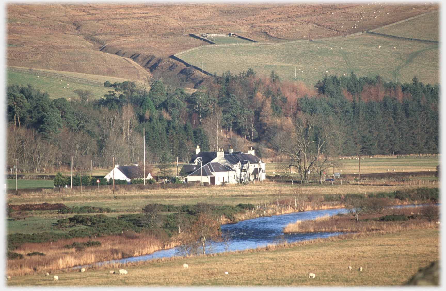 Collection of buildngs beyond river.