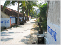 Village street with palm trees.