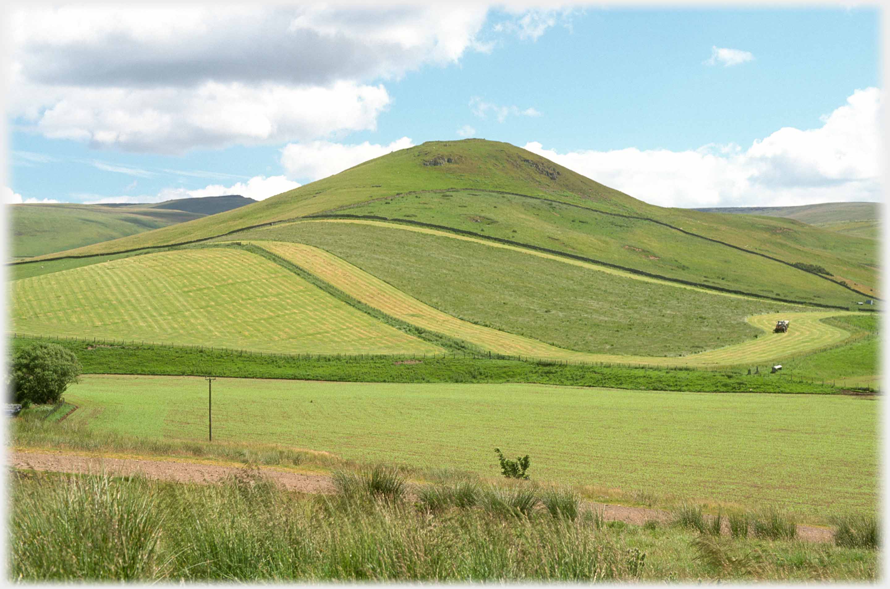 Grassed hill with curved lines of grass cutting, tractor.