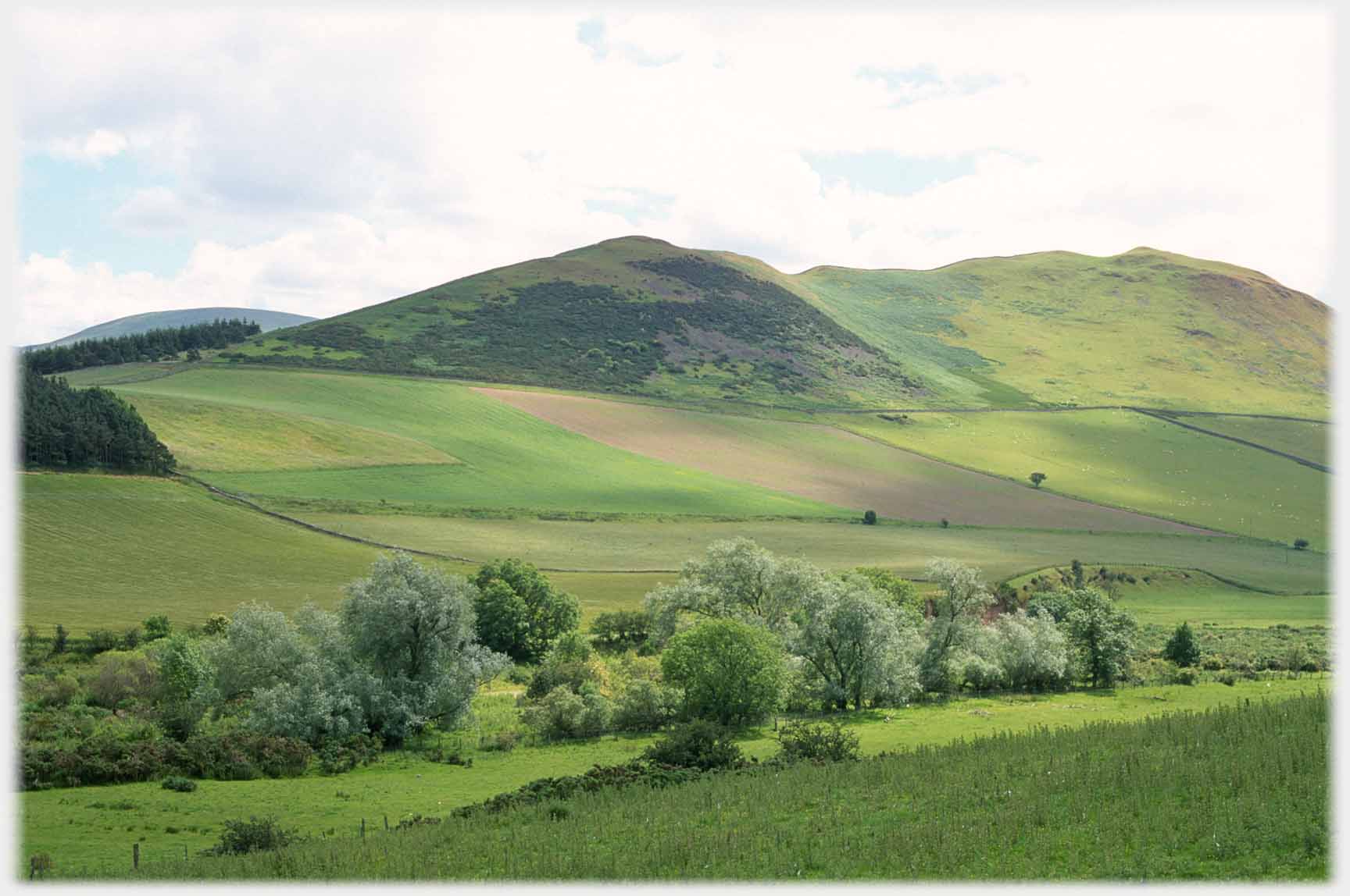 Dappled light on low green hills, trees below.